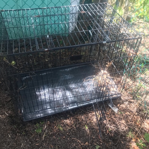 Animal cage - Picture 2 of 4